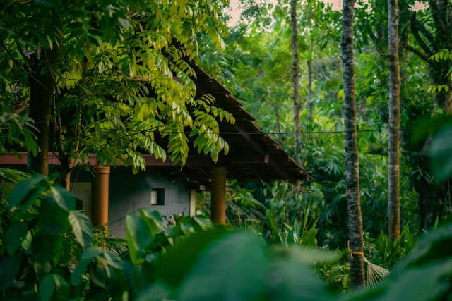 coorg
