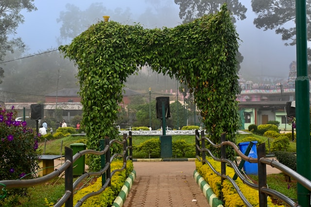 coorg