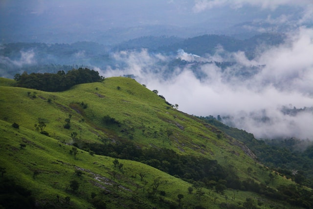 lakshya thakur acuzp194azq unsplash