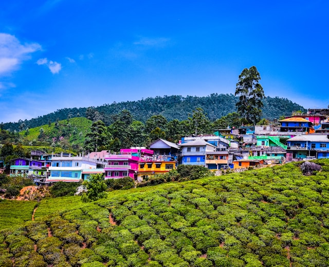 munnar house