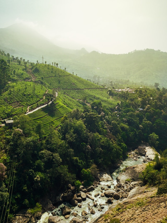 munnar tile