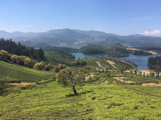ooty
