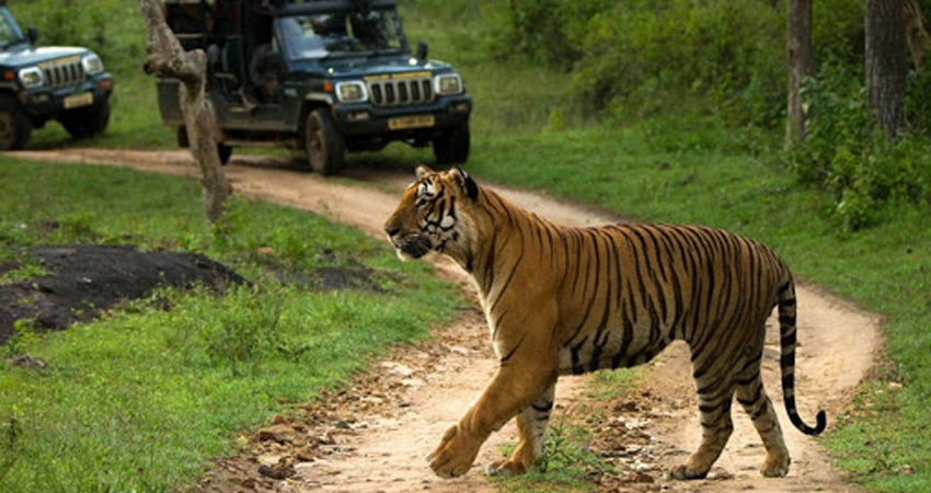 thekkady