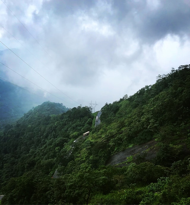wayanad