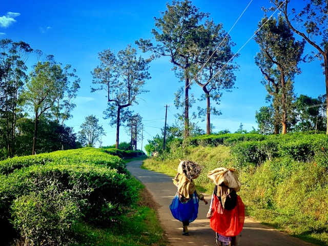 wayanad vythiri